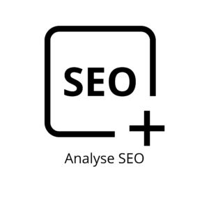 analyse-seo-accompagnement-service-wooplee-besancon